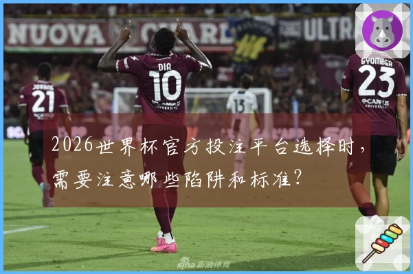 2026世界杯官方投注平台选择时，需要注意哪些陷阱和标准？