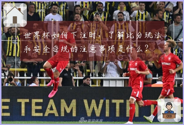 世界杯如何下注时，了解比分玩法和安全合规的注意事项是什么？