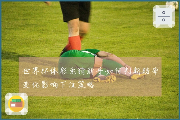 世界杯体彩竞猜新手如何判断赔率变化影响下注策略