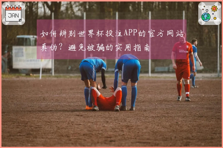 如何辨别世界杯投注APP的官方网站真伪？避免被骗的实用指南