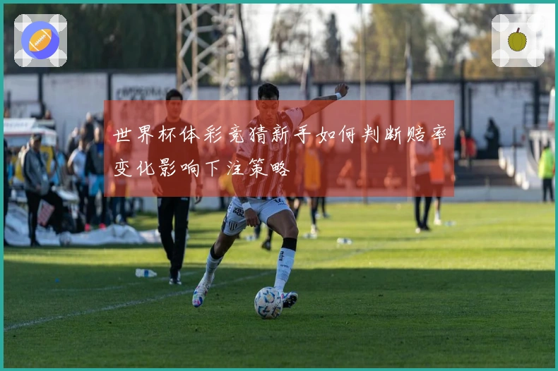 世界杯体彩竞猜新手如何判断赔率变化影响下注策略