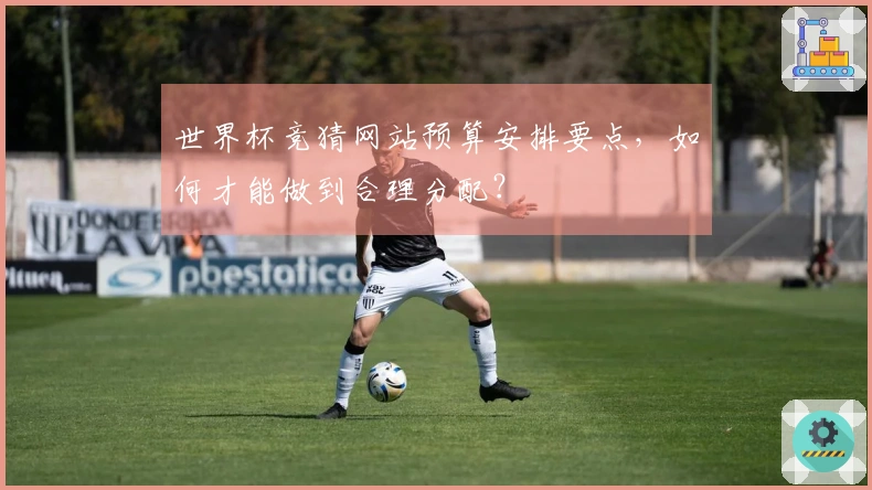 世界杯竞猜网站预算安排要点，如何才能做到合理分配？