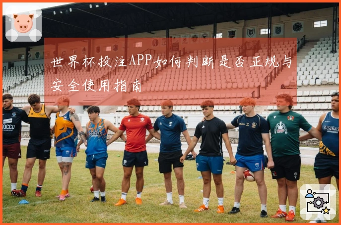 世界杯投注APP如何判断是否正规与安全使用指南