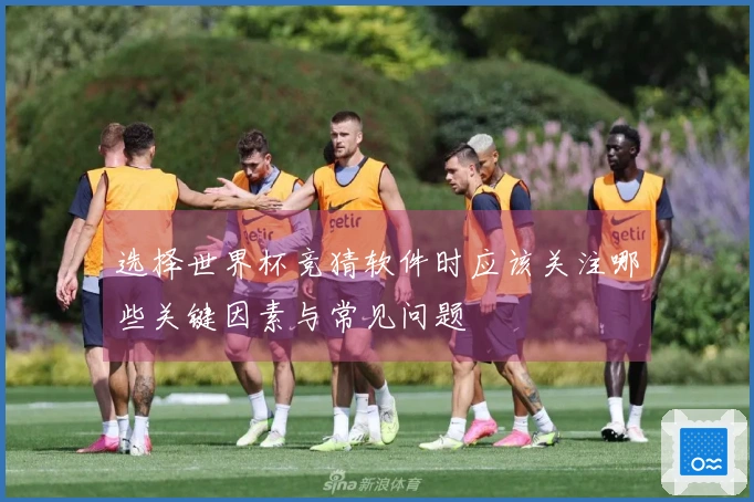 选择世界杯竞猜软件时应该关注哪些关键因素与常见问题