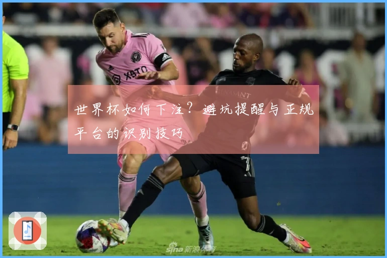 世界杯如何下注？避坑提醒与正规平台的识别技巧