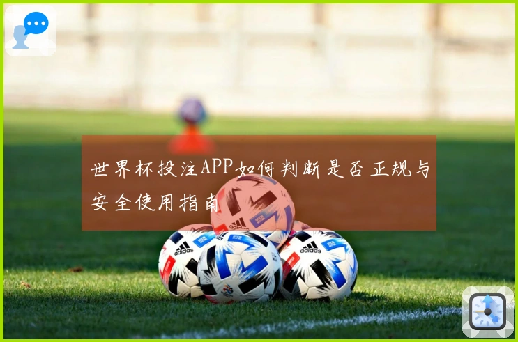 世界杯投注APP如何判断是否正规与安全使用指南