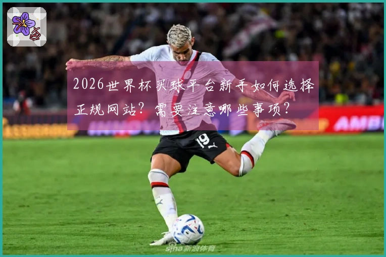 2026世界杯买球平台新手如何选择正规网站？需要注意哪些事项？