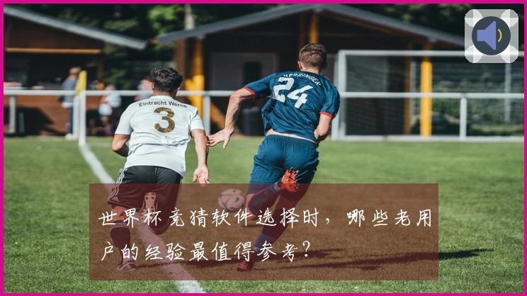 世界杯竞猜软件选择时，哪些老用户的经验最值得参考？