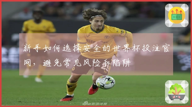 新手如何选择安全的世界杯投注官网，避免常见风险和陷阱