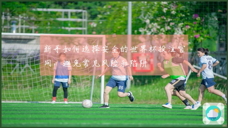 新手如何选择安全的世界杯投注官网，避免常见风险和陷阱
