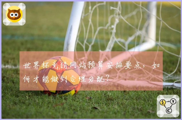 世界杯竞猜网站预算安排要点，如何才能做到合理分配？