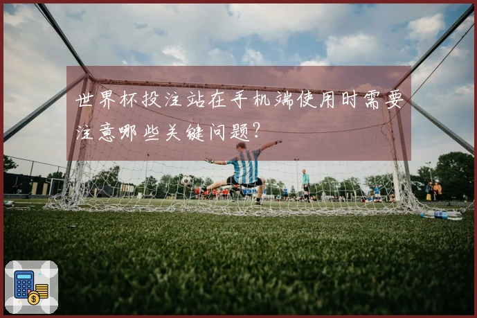 世界杯投注站在手机端使用时需要注意哪些关键问题？