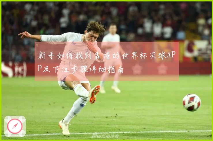 新手如何找到靠谱的世界杯买球APP及下注步骤详细指南