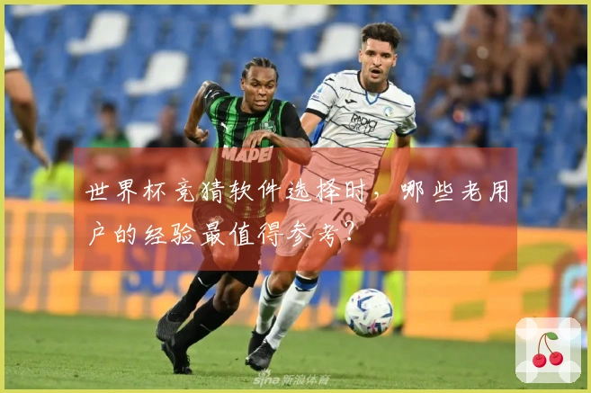 世界杯竞猜软件选择时，哪些老用户的经验最值得参考？