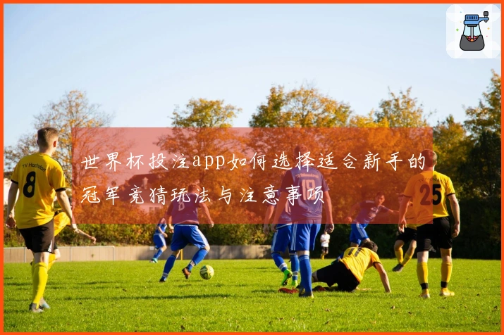 世界杯投注app如何选择适合新手的冠军竞猜玩法与注意事项