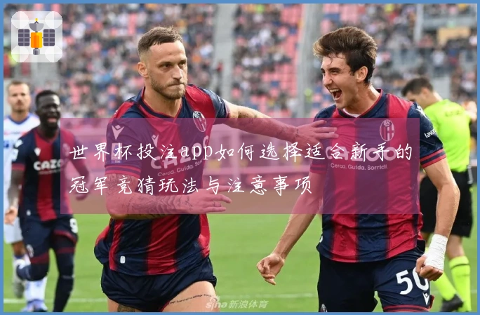 世界杯投注app如何选择适合新手的冠军竞猜玩法与注意事项
