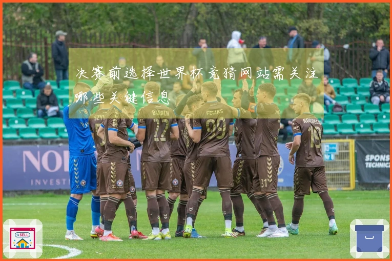 决赛前选择世界杯竞猜网站需关注哪些关键信息