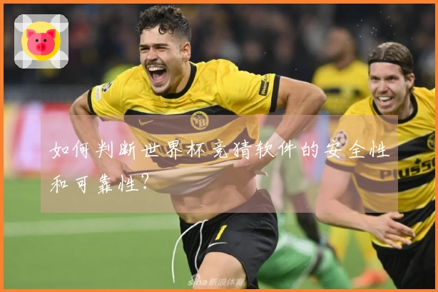 如何判断世界杯竞猜软件的安全性和可靠性？