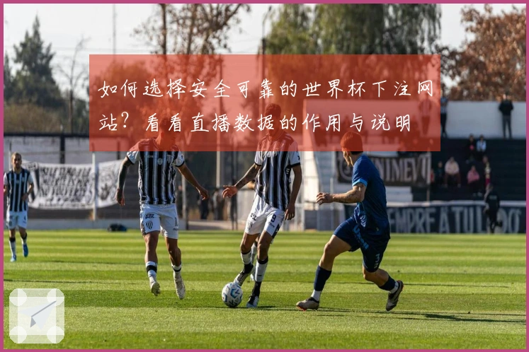 如何选择安全可靠的世界杯下注网站？看看直播数据的作用与说明