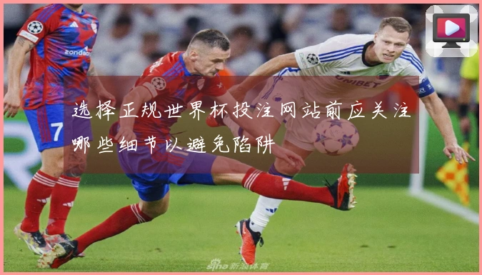 选择正规世界杯投注网站前应关注哪些细节以避免陷阱