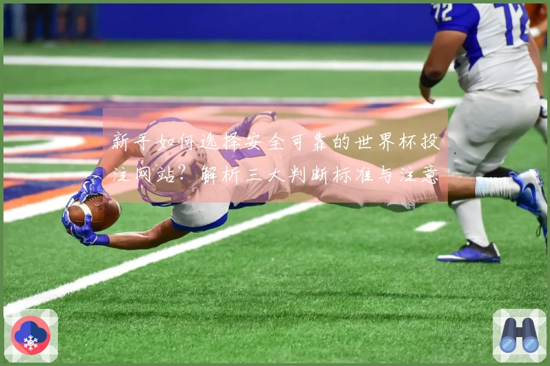新手如何选择安全可靠的世界杯投注网站？解析三大判断标准与注意事项