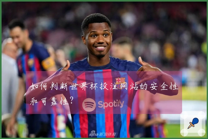 如何判断世界杯投注网站的安全性和可靠性？