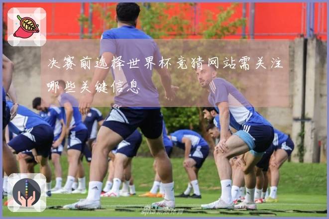 决赛前选择世界杯竞猜网站需关注哪些关键信息
