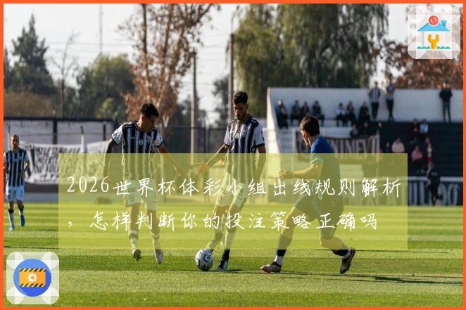 2026世界杯体彩小组出线规则解析，怎样判断你的投注策略正确吗