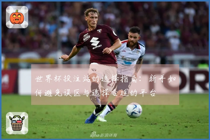 世界杯投注站的选择指南：新手如何避免误区与选择合适的平台