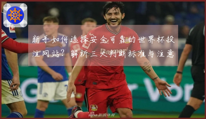 新手如何选择安全可靠的世界杯投注网站？解析三大判断标准与注意事项