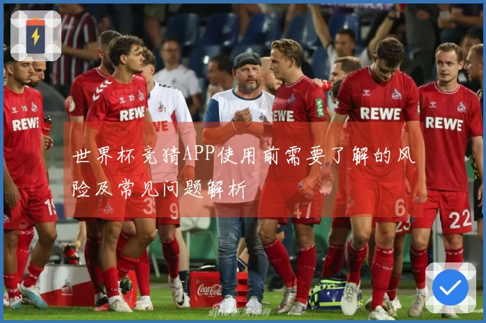 世界杯竞猜APP使用前需要了解的风险及常见问题解析