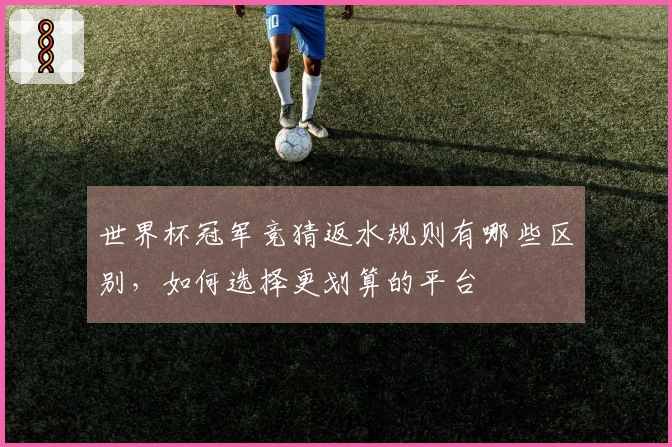 世界杯冠军竞猜返水规则有哪些区别，如何选择更划算的平台