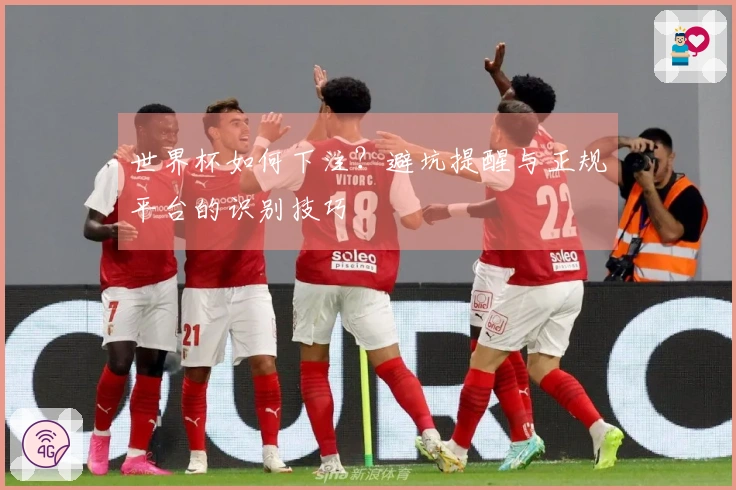 世界杯如何下注？避坑提醒与正规平台的识别技巧