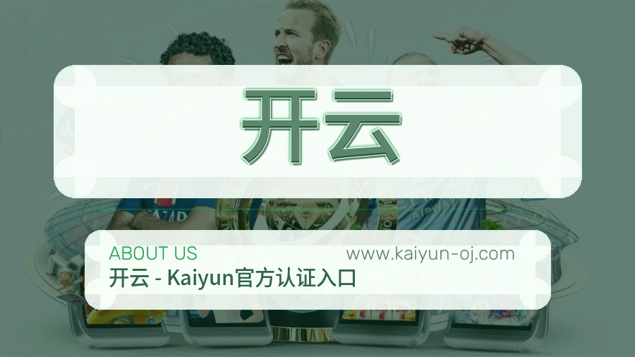 开云用户体验说明